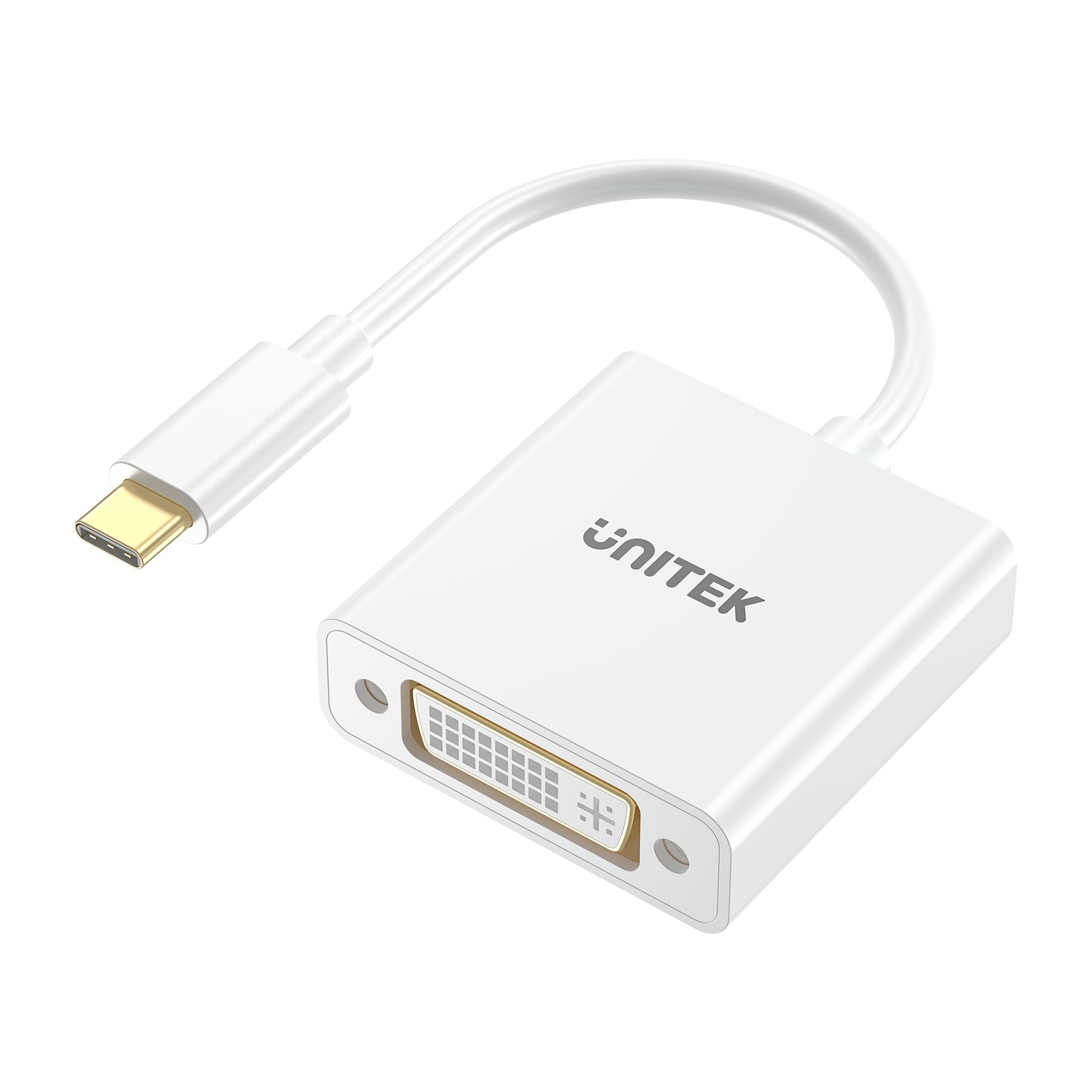 USB-C 轉 DVI 轉換器