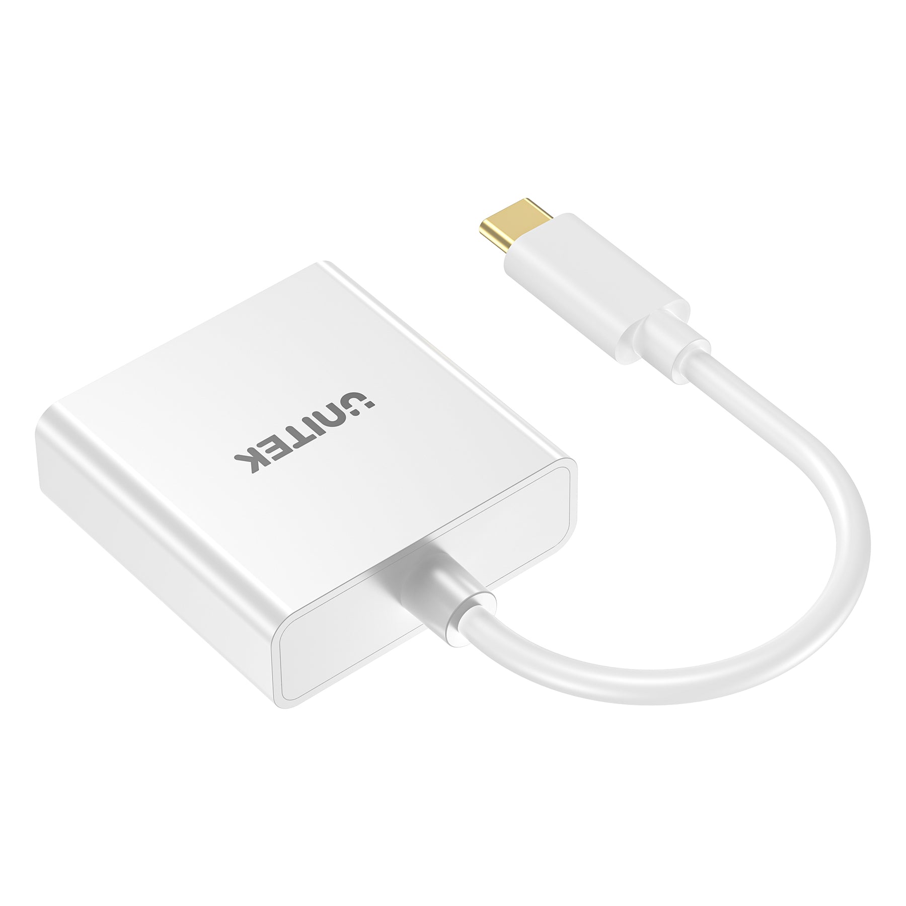 USB-C 轉 DVI 轉換器
