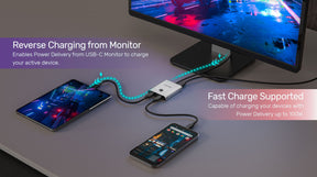 USB-C Bidirectional Switch