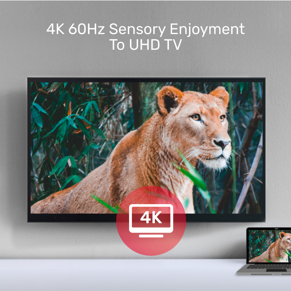 4K 60Hz USB-C 轉 HDMI 及 VGA 轉接器 (MST 多螢幕獨立擴展)